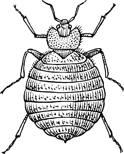 bed bug control Arkadelphia Arkansas - unpleasant bed bugs